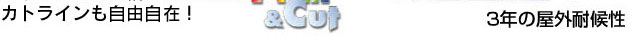 �T�C�����f�B�X�v���C